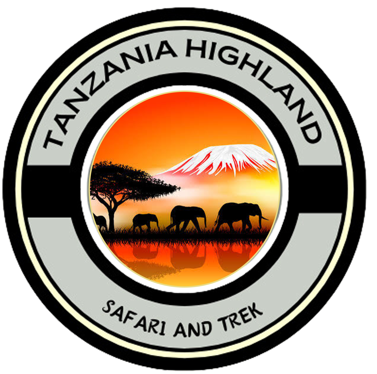 cropped-logo_113608-1.png