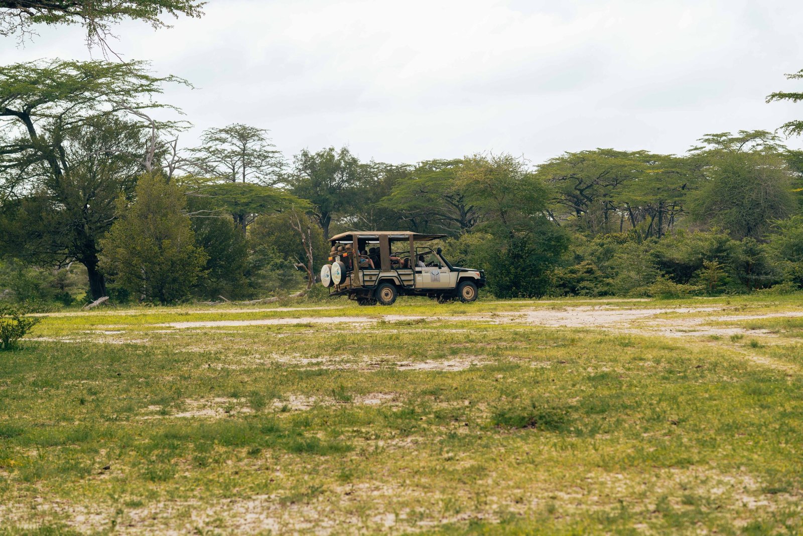 Safari vehicle exploring a lush, open landscape with acacia trees in the background.
