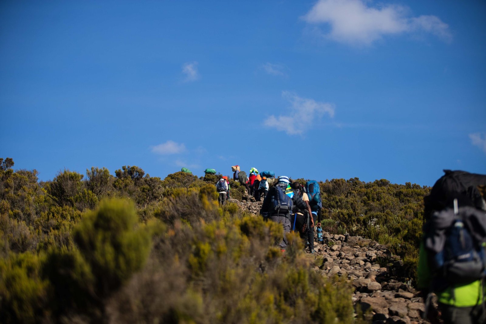 5 Days Kilimanjaro Climb